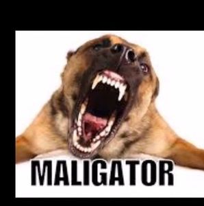 Meet your Posher, Beau